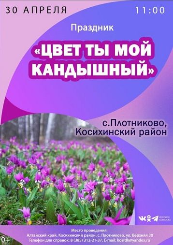 &amp;quot;Цвет ты мой кандышный&amp;quot;.