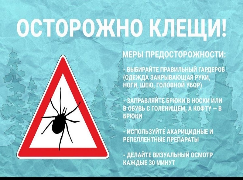 Осторожно - клещи!.