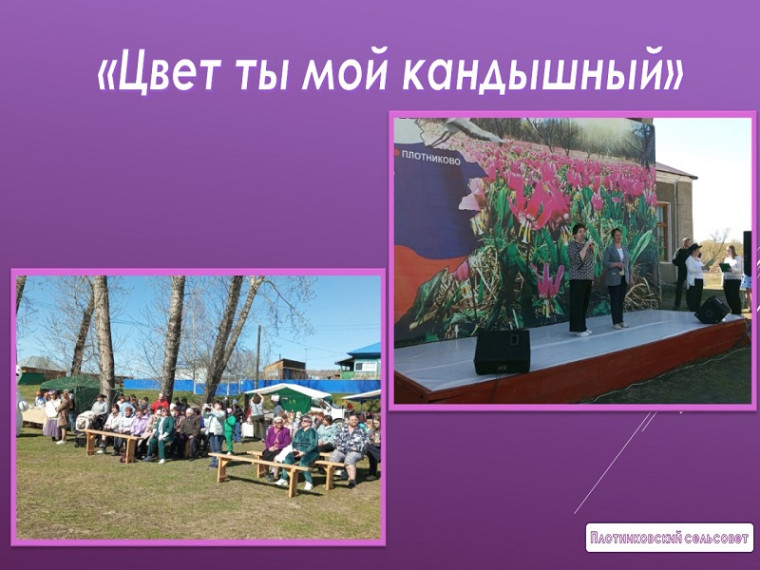 "Цвет ты мой кандышный!". "Цвет ты мой кандышный!".