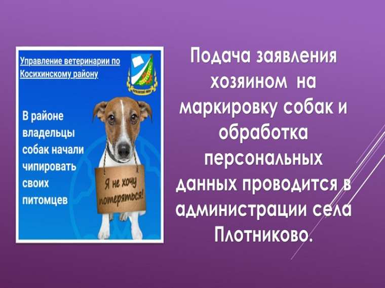 Маркирование и регистрация домашних животных. Маркирование и регистрация домашних животных.